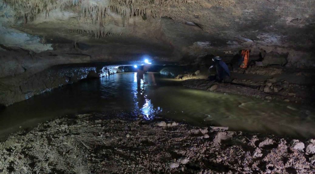 Brief History of Biospeleology in Colombia: Perspectives and ...