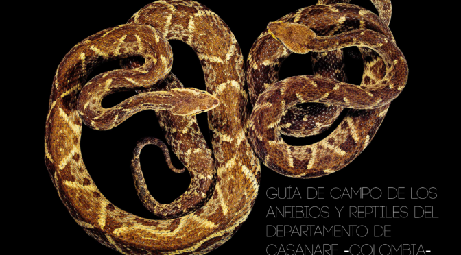 Guía de campo de los Anfibios y Reptiles del departamento de Casanare (Colombia)