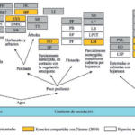 Estado de conservación del ensamble de anfibios y reptiles del río Pauto