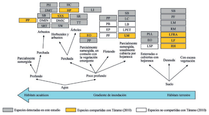 Estado de conservación del ensamble de anfibios y reptiles del río Pauto