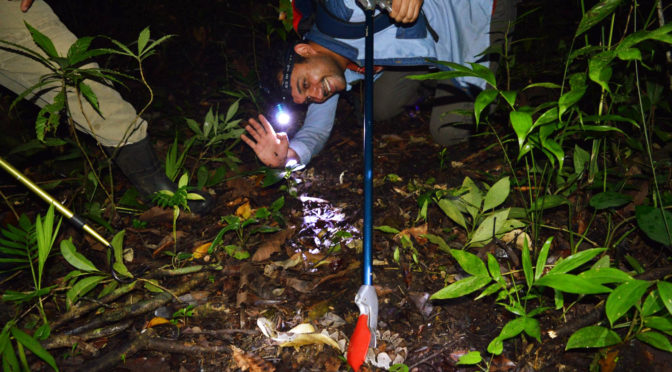 Teddy Angarita Sierra Herpetólogo | PHD en Ciencias de la Biología | Gestor ambiental | Biólogo